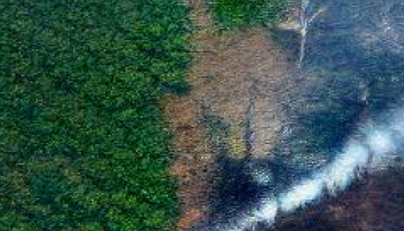 Titelbild: Wer rettet den Regenwald? Die normative Macht der Handelsabkommen