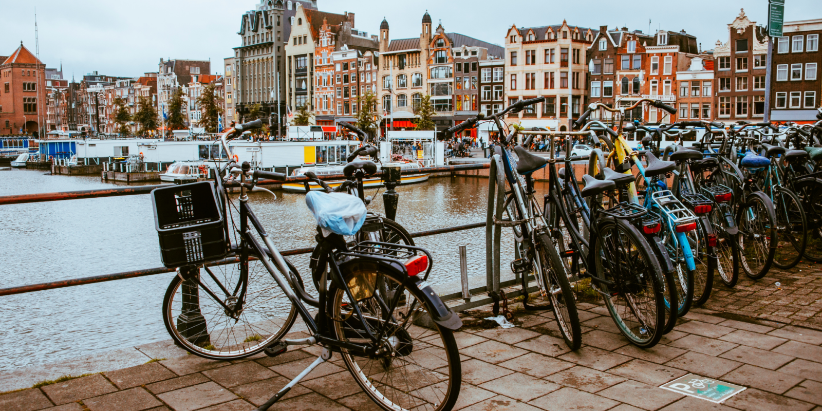 Titelbild: Mobilitätswende: Was wir von den Niederlanden lernen können