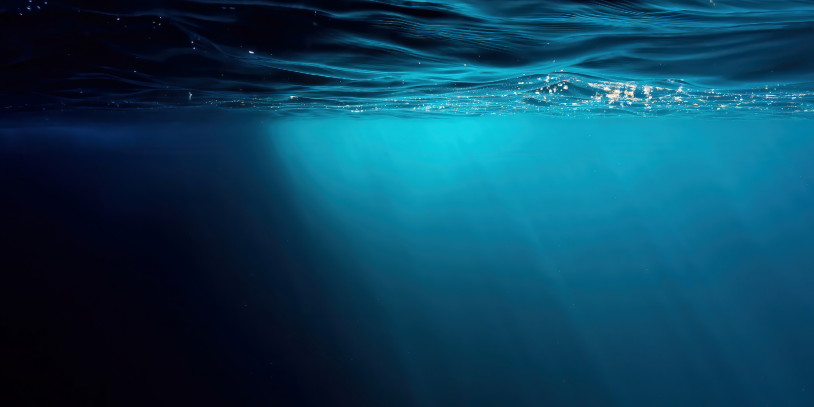Titelbild: Zeitenwende für den Ozean? Die neue UN-Legislatur für die Meere der Zukunft