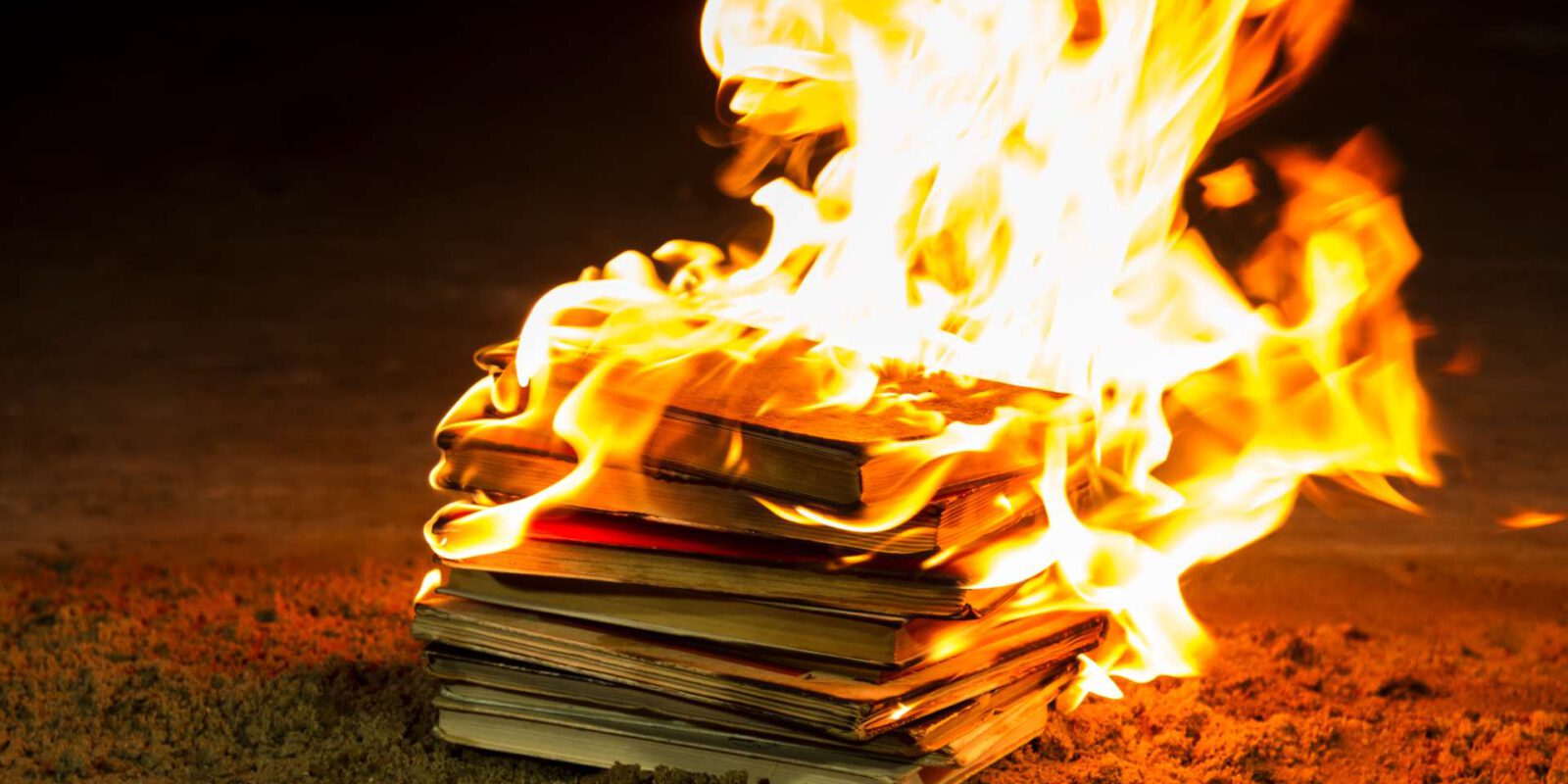 Titelbild: Der Tag, an dem die Bücher brannten