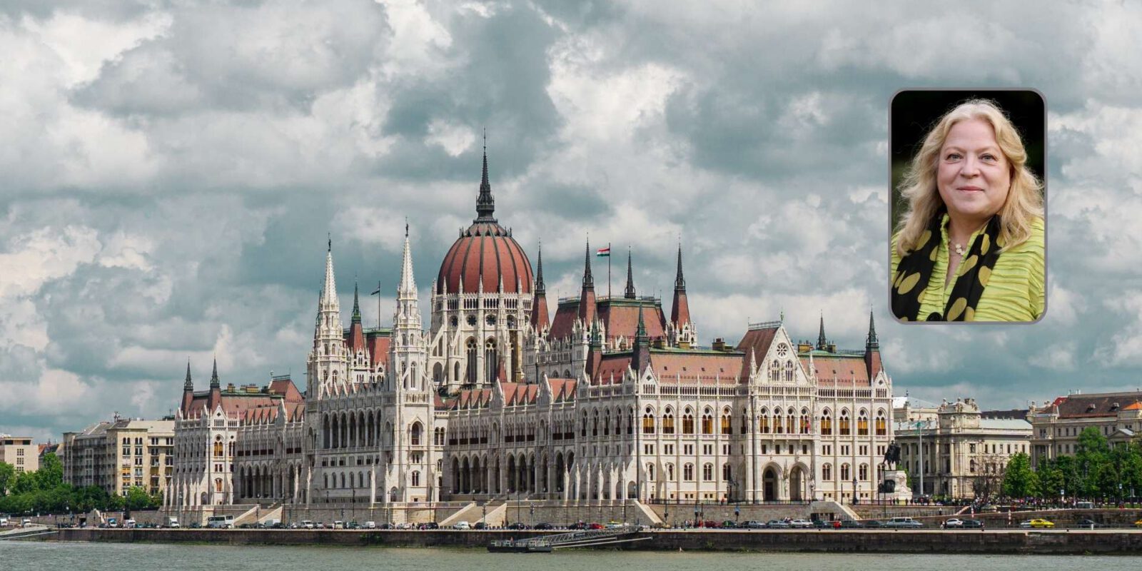 Titelbild: Kim Lane Scheppele: „Ungarn ist keine Demokratie mehr“